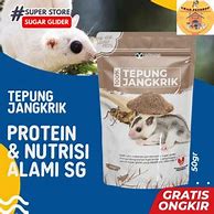 Tepung Jangkrik Untuk Manusia